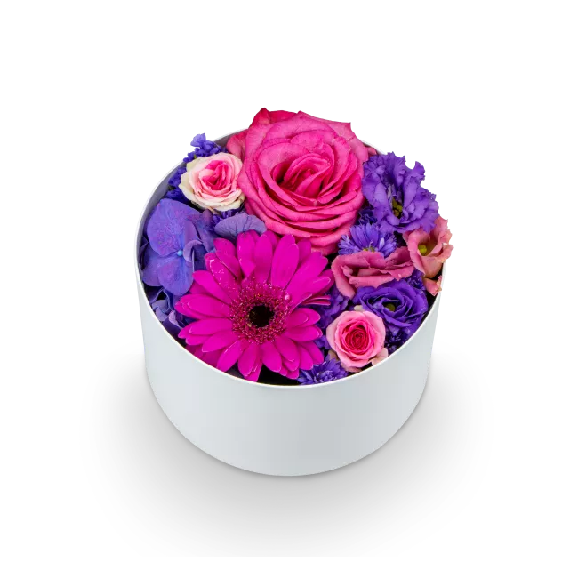 Box fialových květin